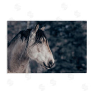 Nathan Larson | Intense Gaze Stallion