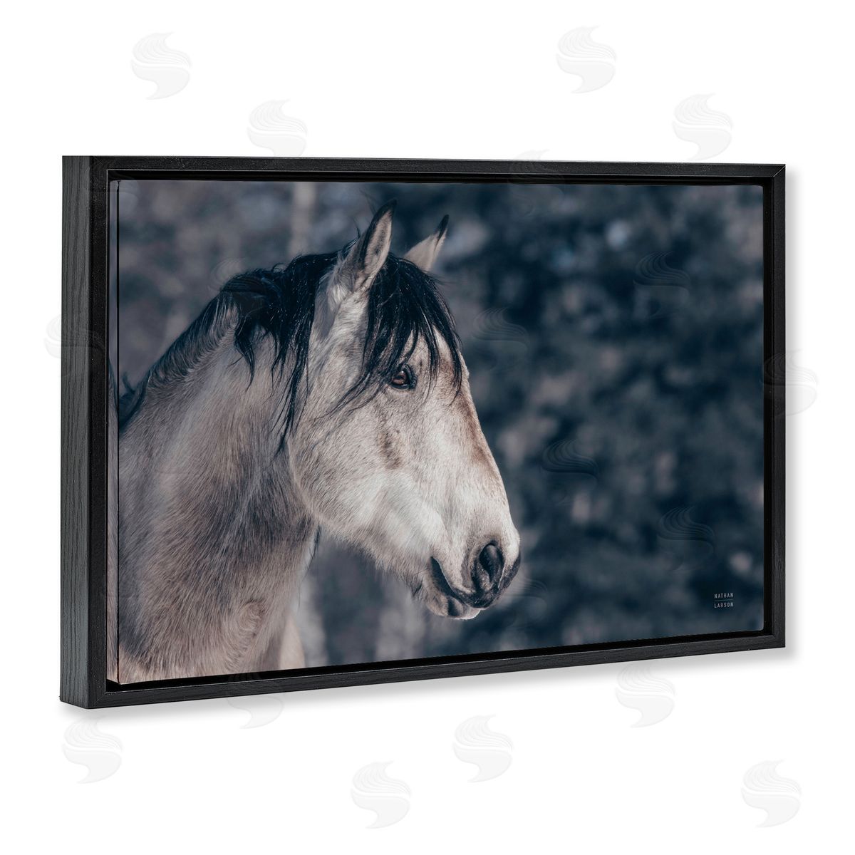 Intense Gaze Stallion Black Floating Frame Canvas Wall Art, Home Decor by Nathan Larson