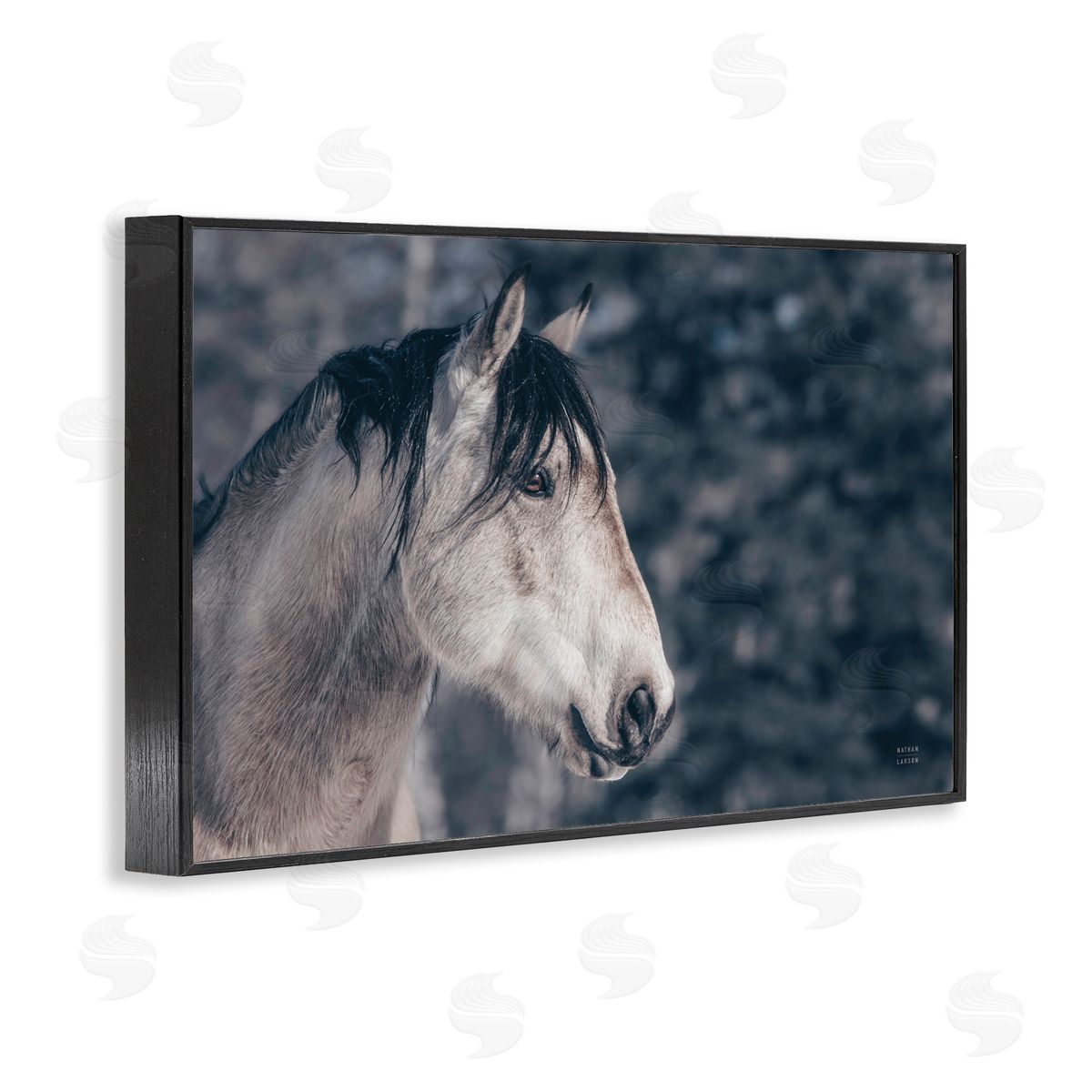 Intense Gaze Stallion Black Frame Print Wall Art, Home Decor by Nathan Larson