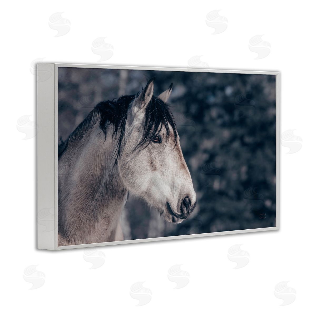 Intense Gaze Stallion White Frame Print Wall Art, Home Decor by Nathan Larson