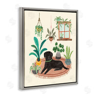 Mary Urban | Fun Dog and House Plants