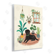 Mary Urban | Fun Dog and House Plants