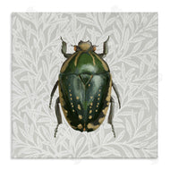 Danhui Nai | Beetle with Botanical Pattern