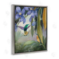 Julia Purinton | Hummingbirds in Nature