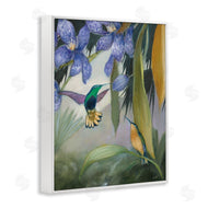 Julia Purinton | Hummingbirds in Nature