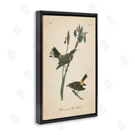 Wild Apple Portfolio | Vintage Warbler Study