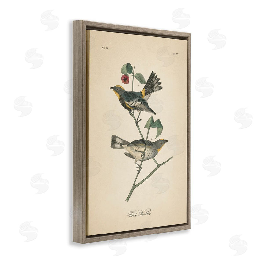Wild Apple Portfolio | Vintage Warbler Page