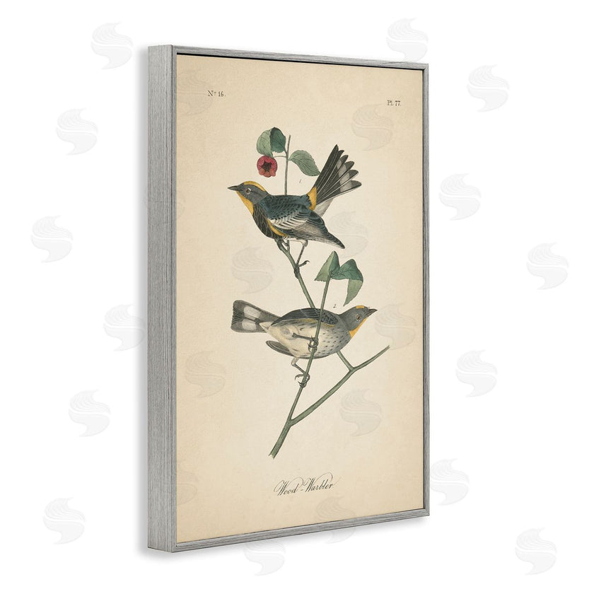 Wild Apple Portfolio | Vintage Warbler Page