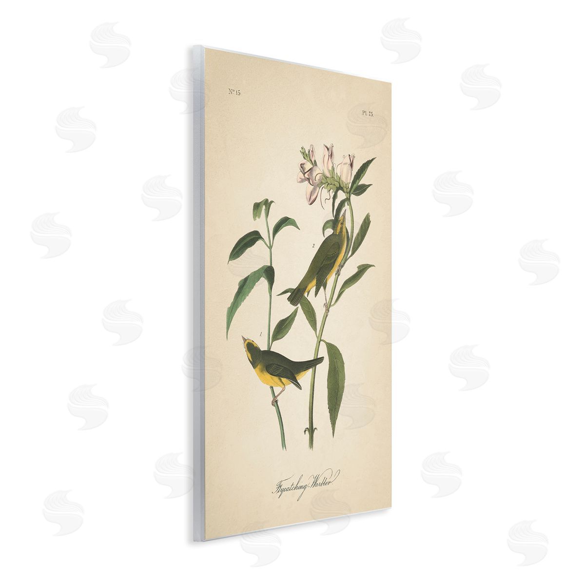 Vintage Warbler Diagram Wood Plaque Wall Art, Home Decor by Wild Apple Portfolio