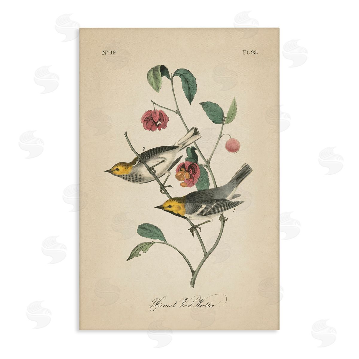 Vintage Warbler and Plants Canvas Wall Art, Home Decor by Wild Apple Portfolio