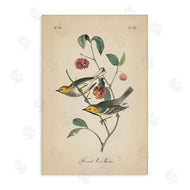 Wild Apple Portfolio | Vintage Warbler and Plants