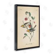 Wild Apple Portfolio | Vintage Warbler and Plants