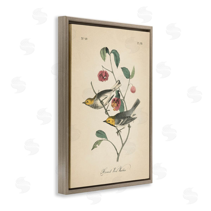 Wild Apple Portfolio | Vintage Warbler and Plants