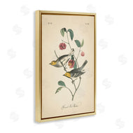 Wild Apple Portfolio | Vintage Warbler and Plants