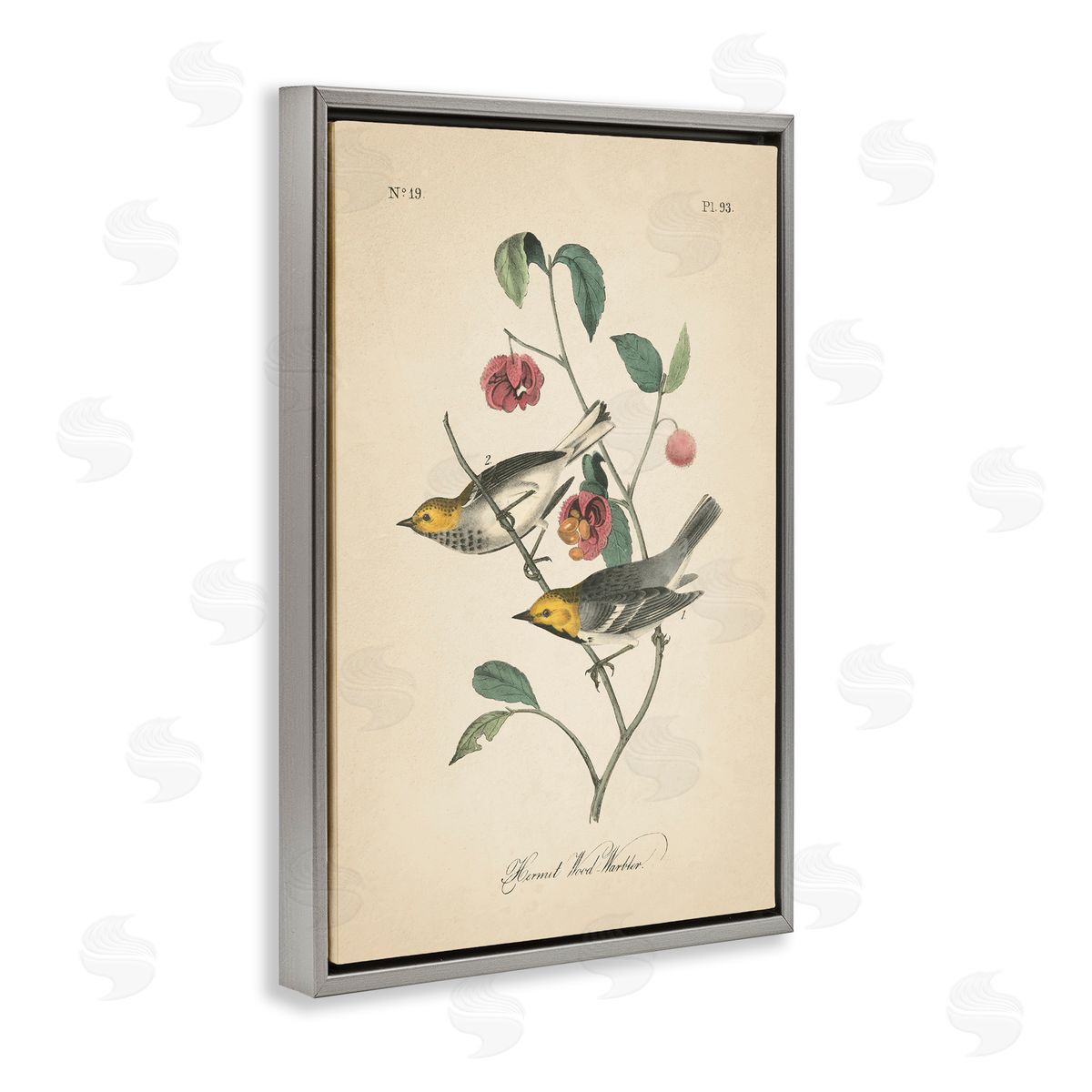 Vintage Warbler and Plants Grey Floating Frame Canvas Wall Art, Home Decor by Wild Apple Portfolio