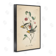 Wild Apple Portfolio | Vintage Warbler and Plants