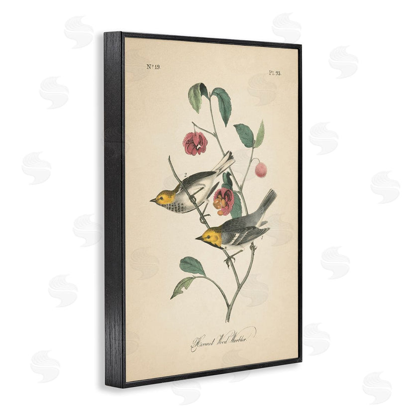 Wild Apple Portfolio | Vintage Warbler and Plants