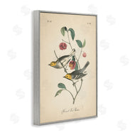 Wild Apple Portfolio | Vintage Warbler and Plants