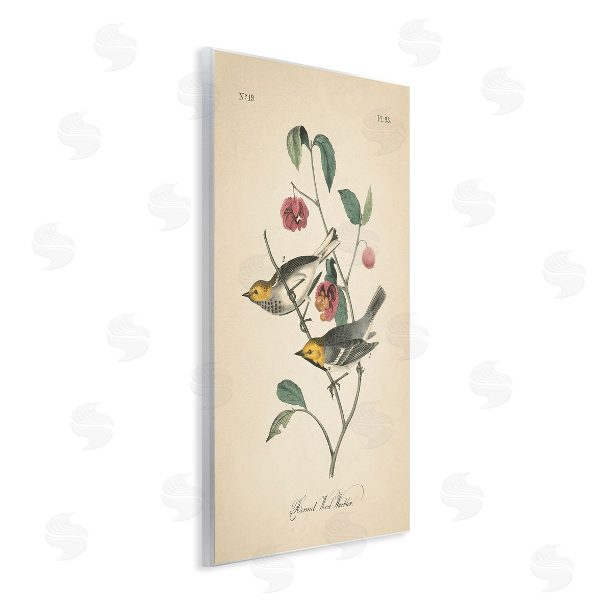 Vintage Warbler and Plants Wood Plaque Wall Art, Home Decor by Wild Apple Portfolio