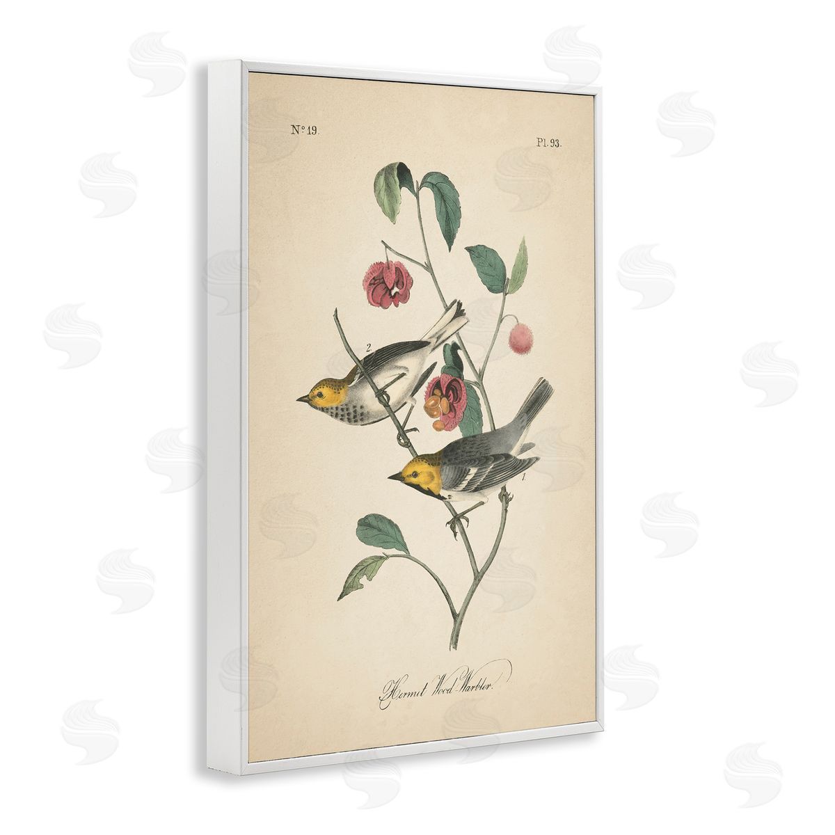 Vintage Warbler and Plants White Frame Print Wall Art, Home Decor by Wild Apple Portfolio