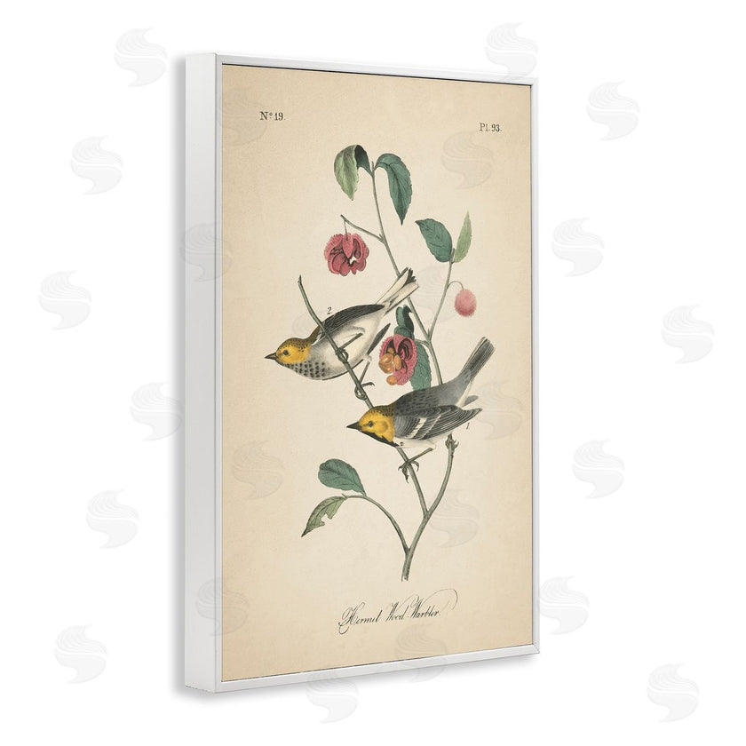 Wild Apple Portfolio | Vintage Warbler and Plants