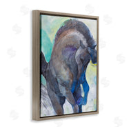 Albena Hristova | Royal Splendor Stallion