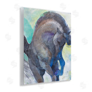 Albena Hristova | Royal Splendor Stallion