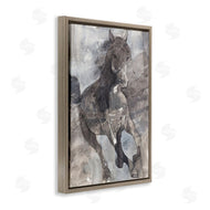 Albena Hristova | Free Spirit Stallion