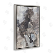 Albena Hristova | Free Spirit Stallion