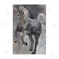 Albena Hristova | Wind Dancer Stallion