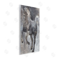 Albena Hristova | Wind Dancer Stallion