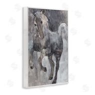 Albena Hristova | Wind Dancer Stallion