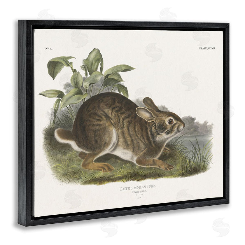 Wild Apple Portfolio | Vintage Cottage Hare