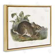 Wild Apple Portfolio | Vintage Cottage Hare