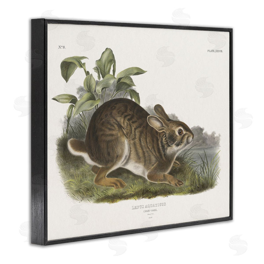 Wild Apple Portfolio | Vintage Cottage Hare