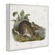 Wild Apple Portfolio | Vintage Cottage Hare
