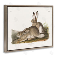 Wild Apple Portfolio | Traditional Cottage Hare