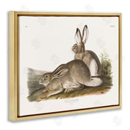 Wild Apple Portfolio | Traditional Cottage Hare