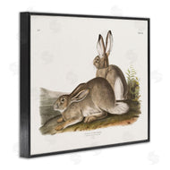 Wild Apple Portfolio | Traditional Cottage Hare