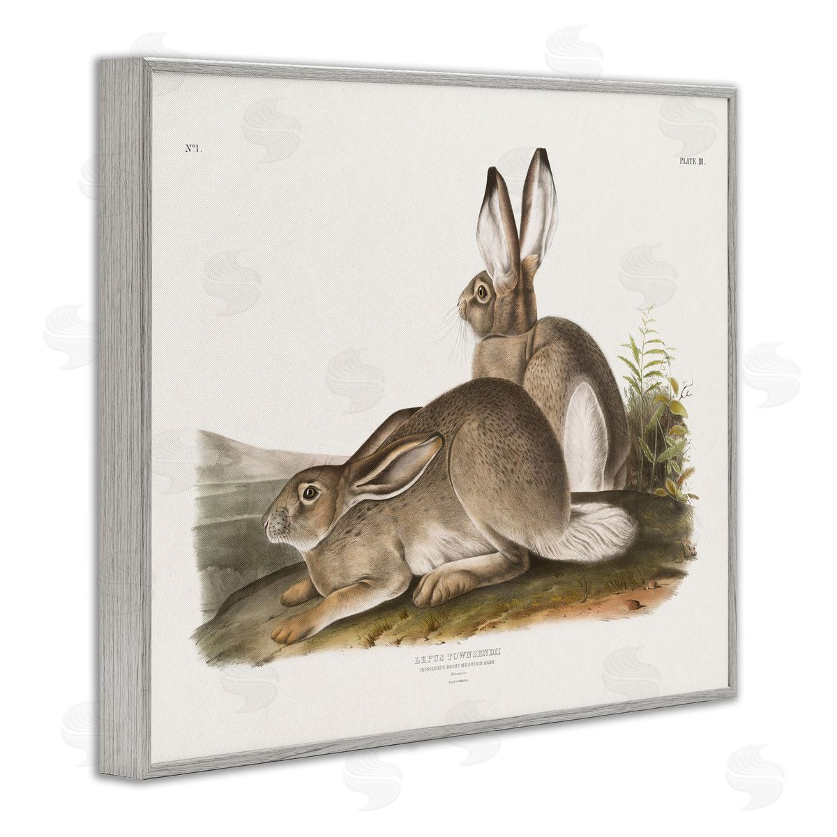 Traditional Cottage Hare Grey Frame Print Wall Art, Home Decor by Wild Apple Portfolio