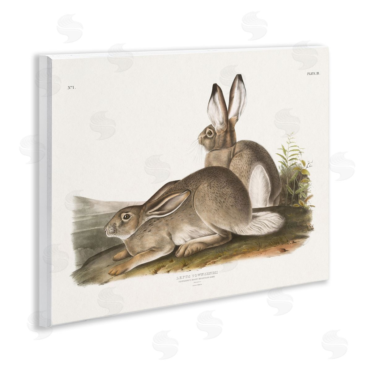 Traditional Cottage Hare Wood Plaque Wall Art, Home Decor by Wild Apple Portfolio