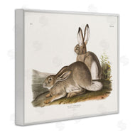 Wild Apple Portfolio | Traditional Cottage Hare
