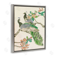 Melissa Wang | Peacock Perched on Branch