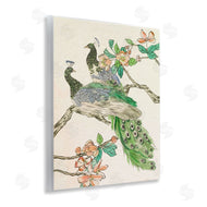 Melissa Wang | Peacock Perched on Branch