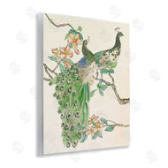 Melissa Wang | Peacock Pair on Branch