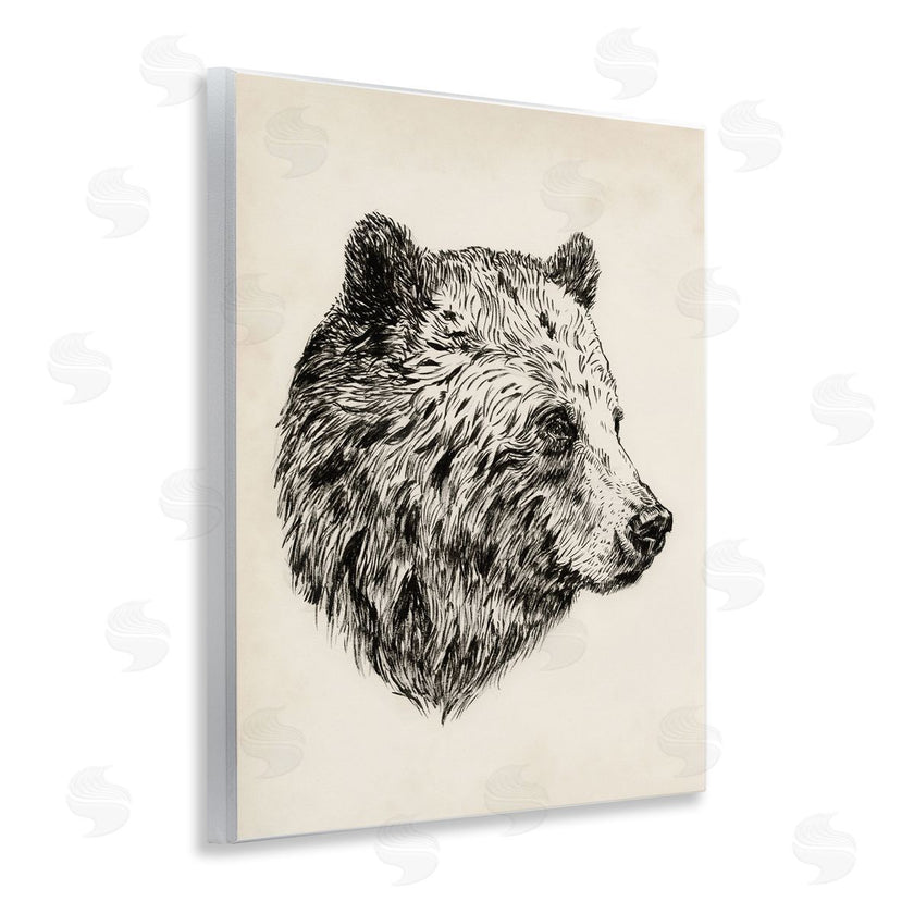 Victoria Barnes | Rustic Bear Drawing