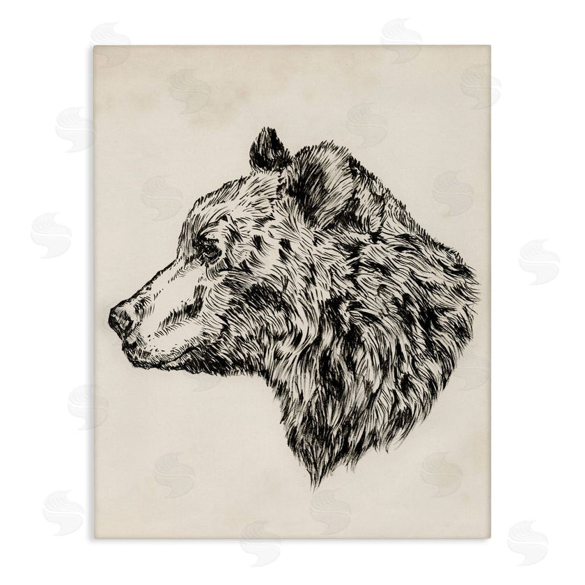 Victoria Barnes | Woodland Bear Drawing