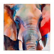Walker Noble | Close Up Elephant Face