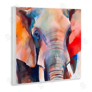 Walker Noble | Close Up Elephant Face