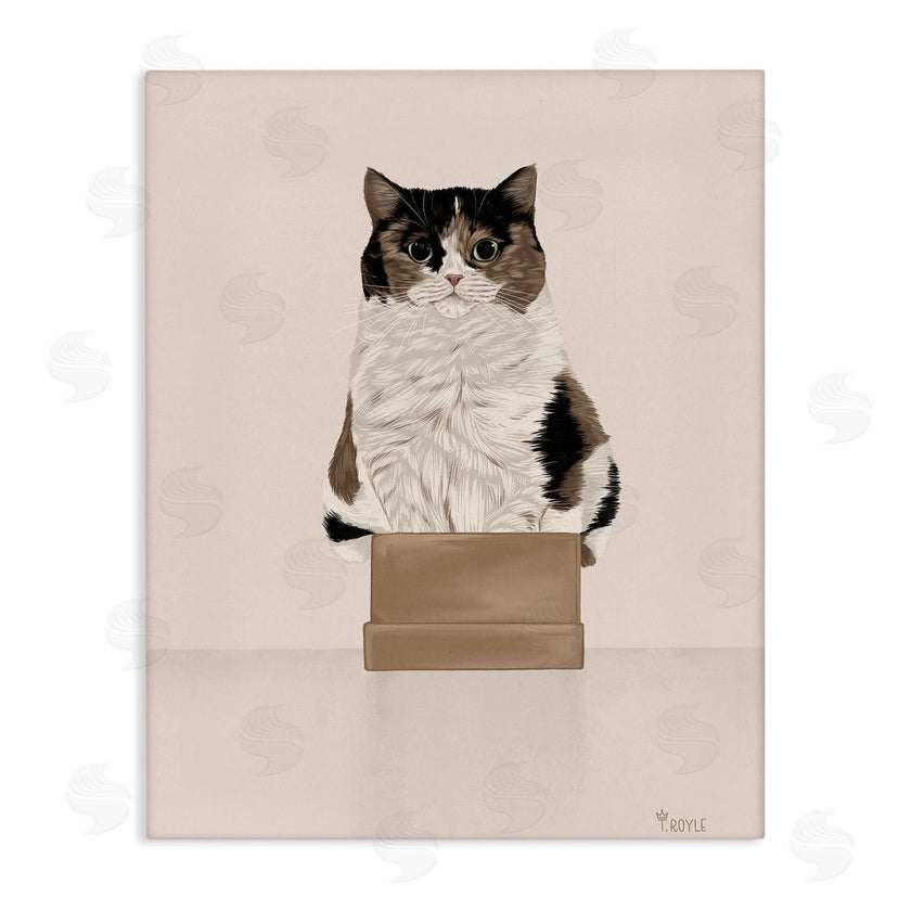 Tara Royle | Cat in Cardboard Box